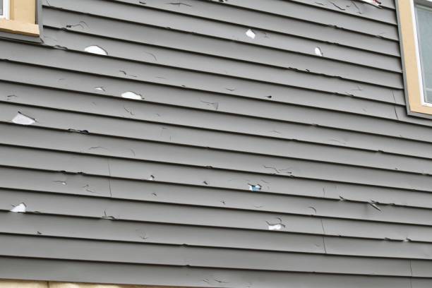 Best Storm Damage Siding Repair  in Rehobeth, AL